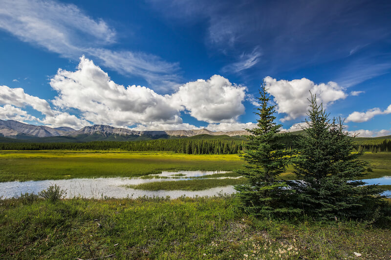 If Your Land is Near Water, Make Sure You Know its Ownership