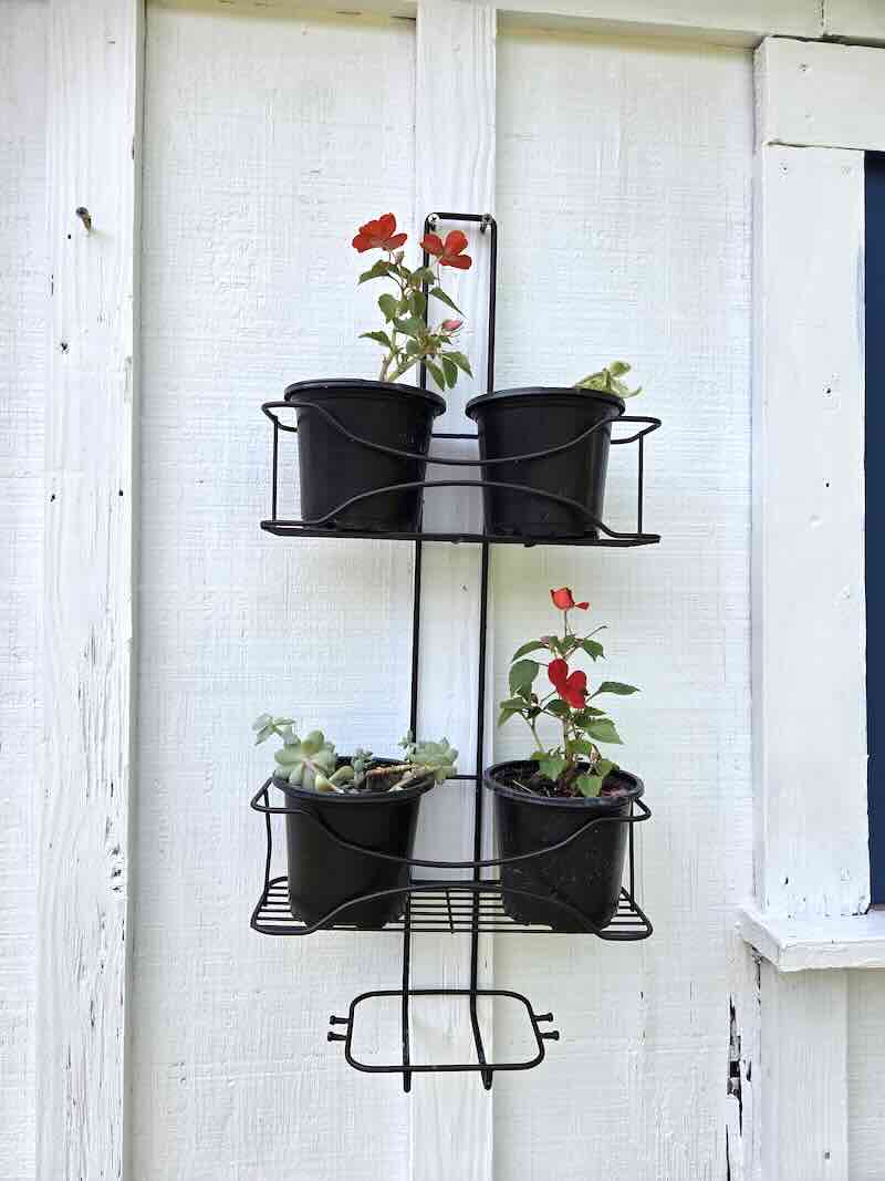 soap holder - planter